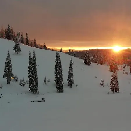 Lodge La 5 Casute